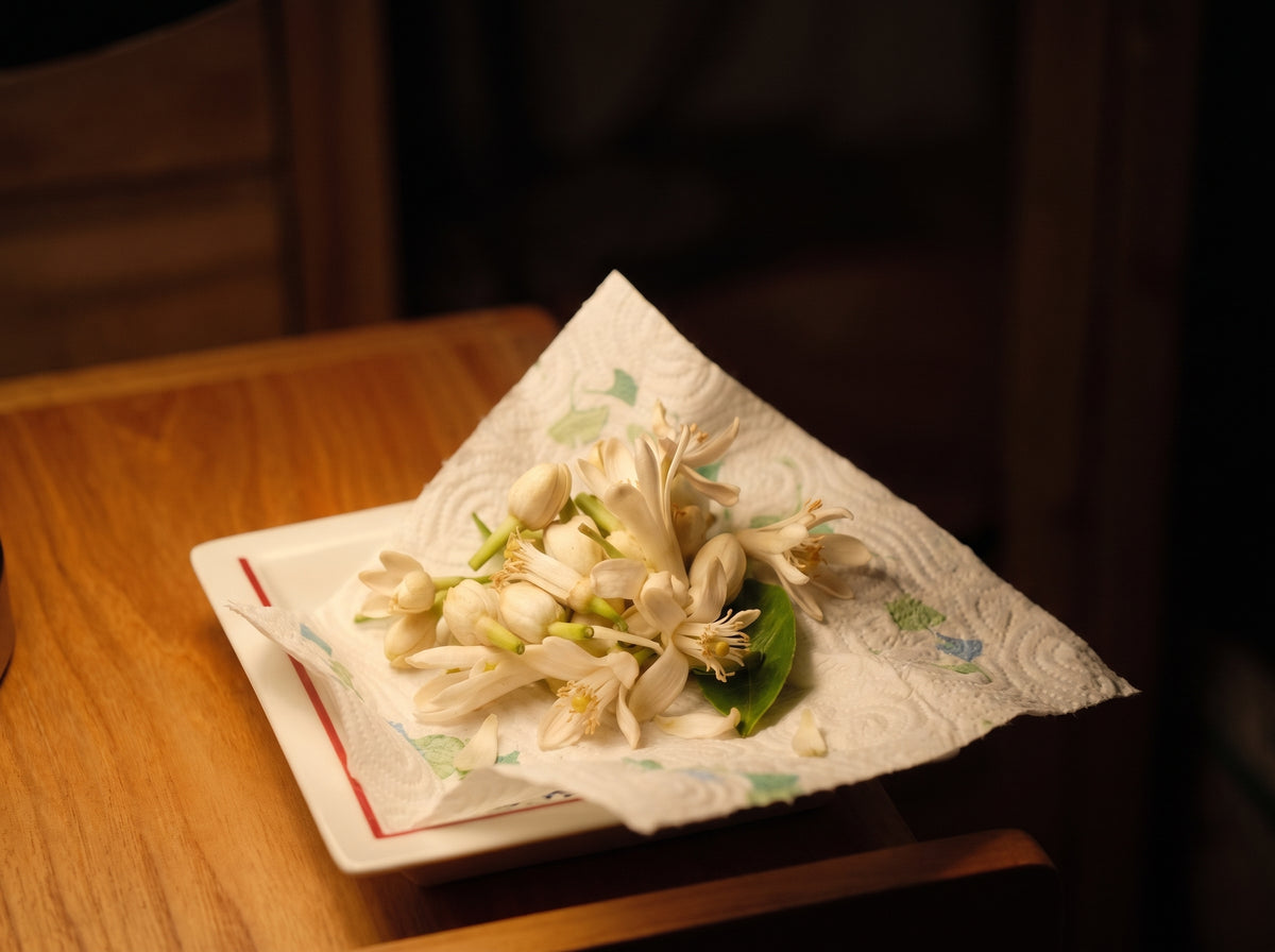 PRISM NEROLI